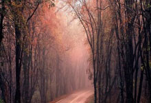 篮网为刚刚被76人裁掉的侧翼新星送出合同,但他想留队并不容易?