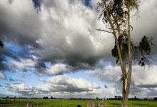 篮网为刚刚被76人裁掉的侧翼新星送出合同，但他想留队并不容易？