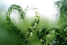 篮网为刚刚被76人裁掉的侧翼新星送出合同，但他想留队并不容易？