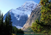 篮网为刚刚被76人裁掉的侧翼新星送出合同，但他想留队并不容易？