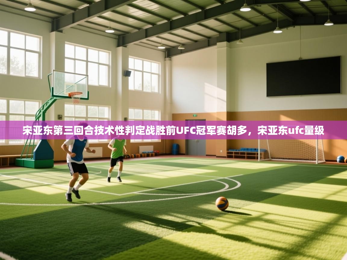 宋亚东第三回合技术性判定战胜前UFC冠军赛胡多,宋亚东ufc量级 第2张