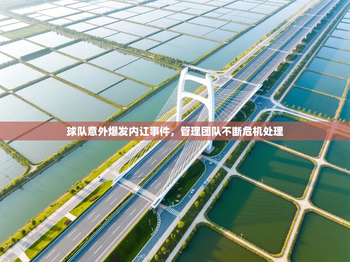 球队意外爆发内讧事件,管理团队不断危机处理 第1张