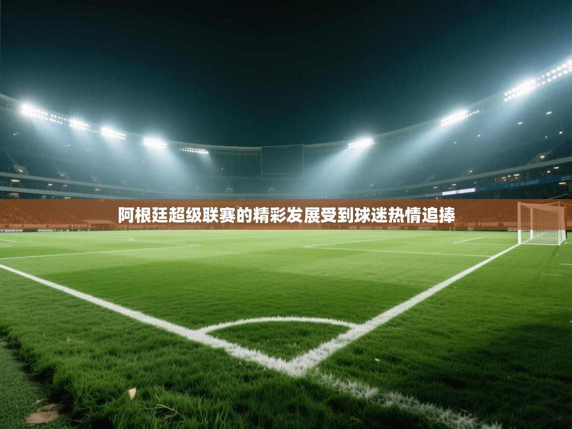 阿根廷超级联赛的精彩发展受到球迷热情追捧 第2张