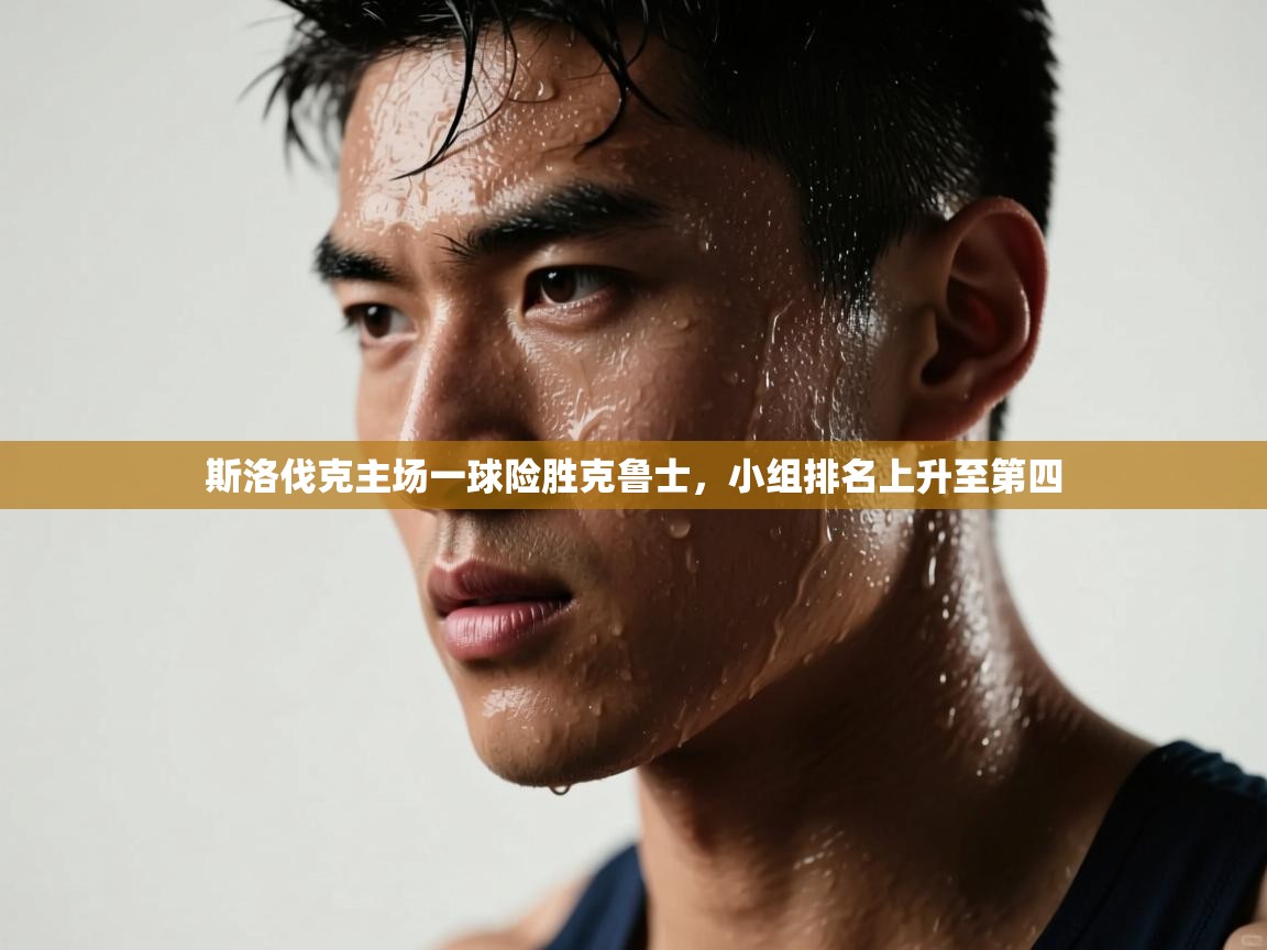 斯洛伐克主场一球险胜克鲁士,小组排名上升至第四 第1张