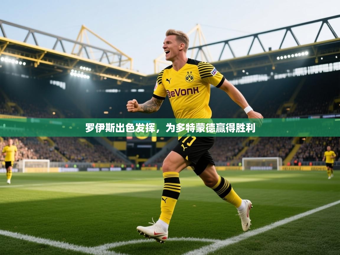 罗伊斯出色发挥，为多特蒙德赢得胜利  第2张